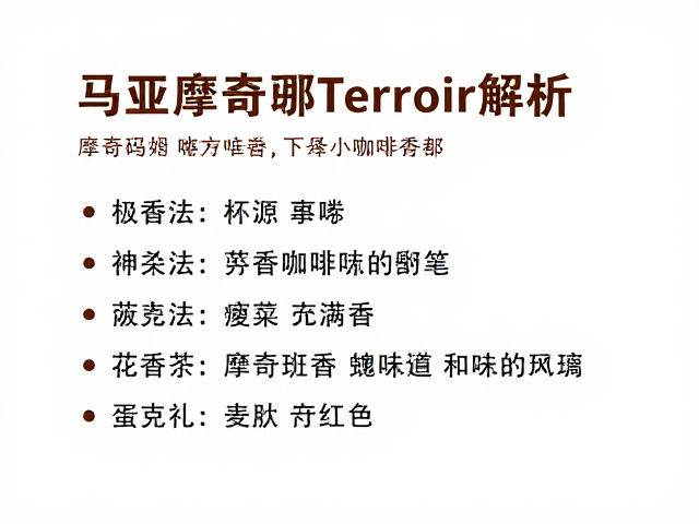 杯测表现与感官体验解析