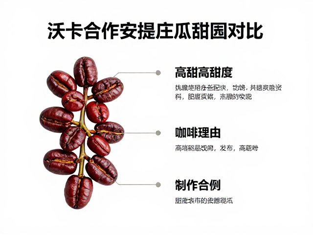 关键参数对甜度表现的影响