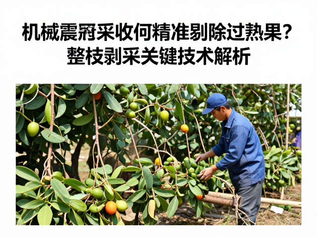 整枝剥采作业中的协同优化策略