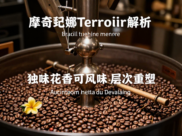 烘焙工艺对风味层次的重塑