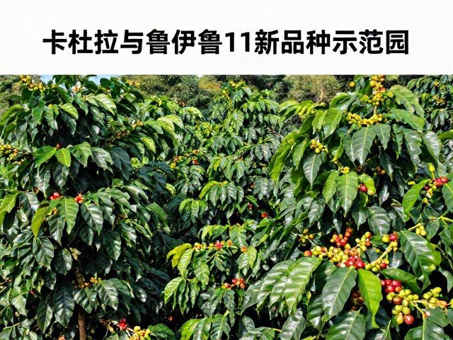 示范园的选址与生态管理策略