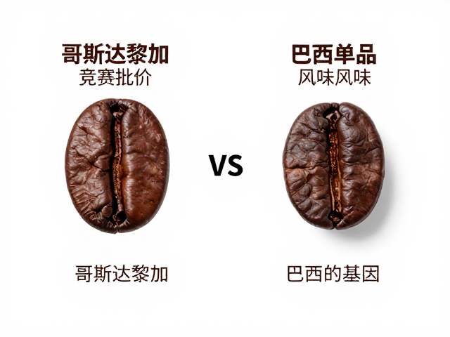 哥斯达黎加竞赛批次与巴西单品的风味基因差异