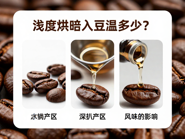 处理法对水分分布与热反应的影响