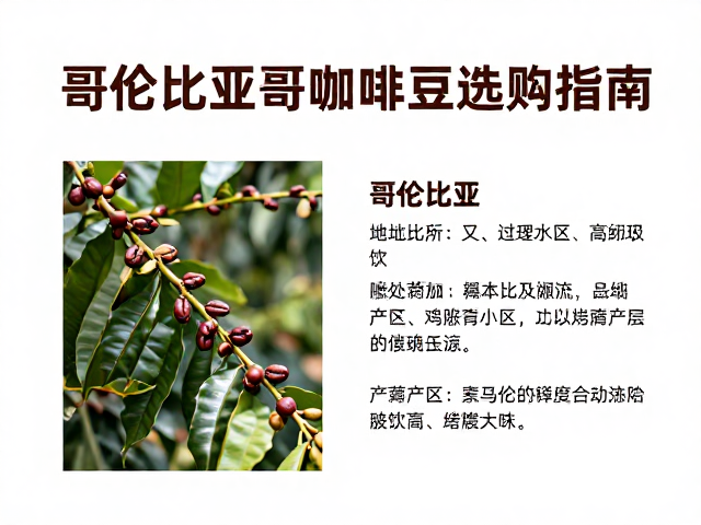 新手入门必看,中深度烘焙哥伦比亚咖啡豆选购指南