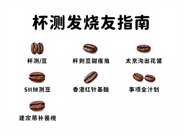数据记录与个人风味图谱