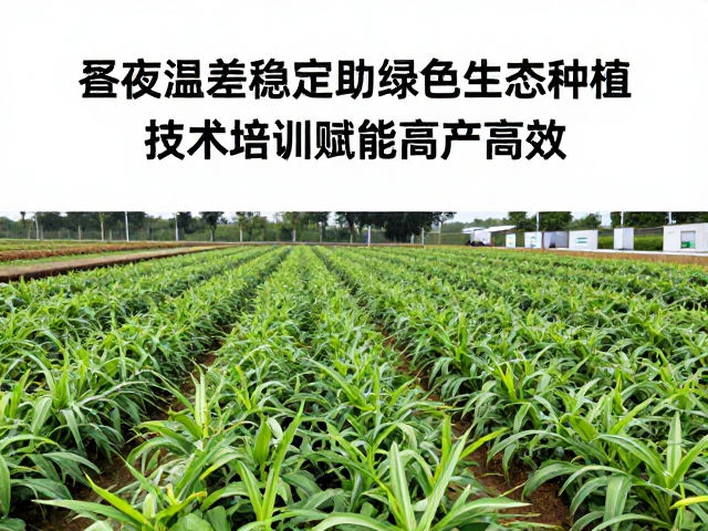 标准化技术培训体系提升种植效能