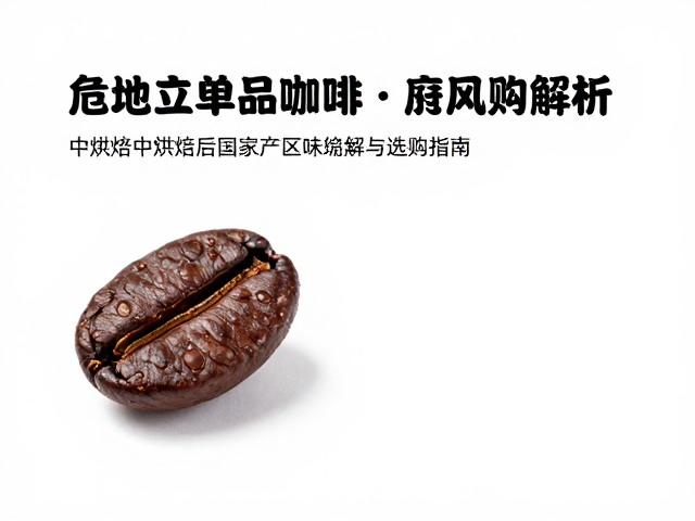 中烘焙工艺对风味层次的保留与转化