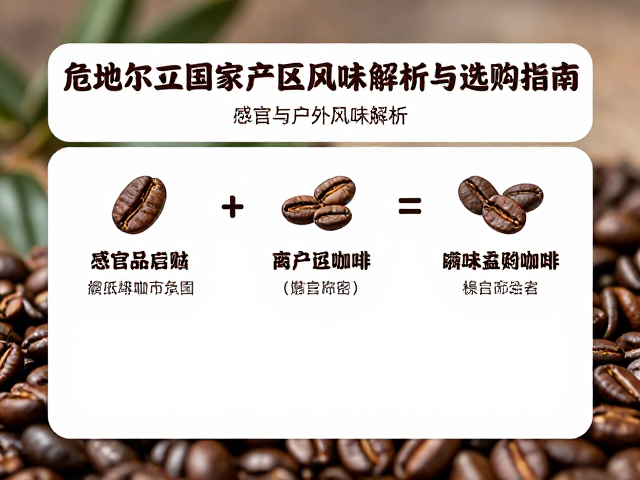 感官品鉴中的关键风味指标解析