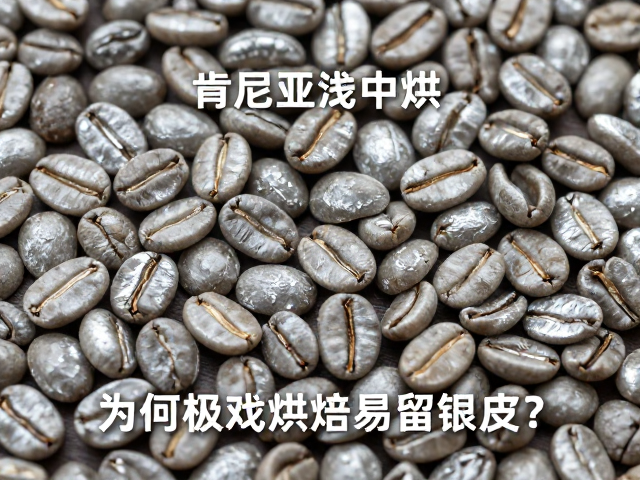 肯尼亚咖啡浅中烘，为何极浅烘焙易留银皮？