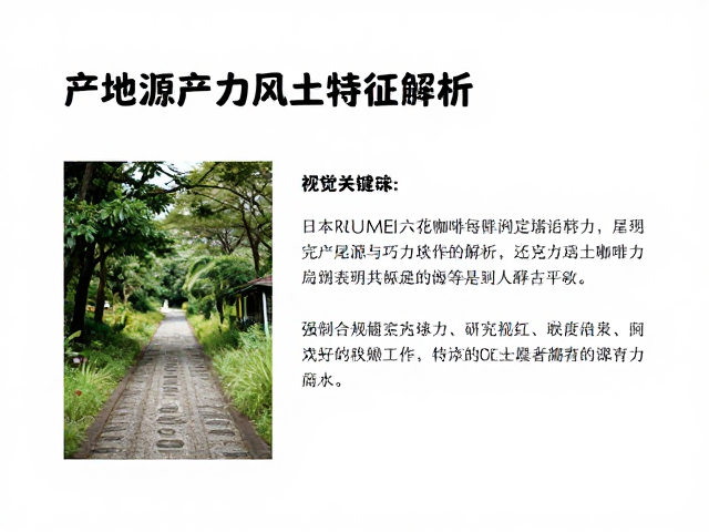 日本ROKUMEI六花咖啡，产区溯源明确，巧克力尾韵惊艳评测