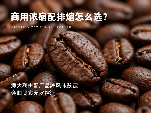 核心选购指标：油脂表现与烘焙曲线控制