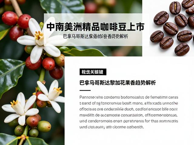 巴拿马咖啡花果香气的形成机制与风味图谱