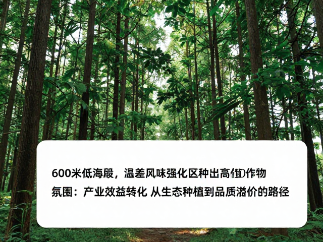 产业效益转化:从生态种植到品质溢价的路径