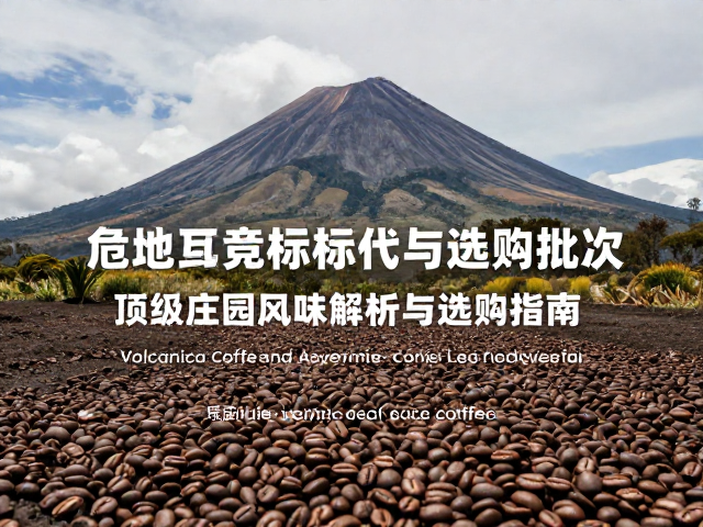 危地马拉安提瓜火山土质的独特风味基因