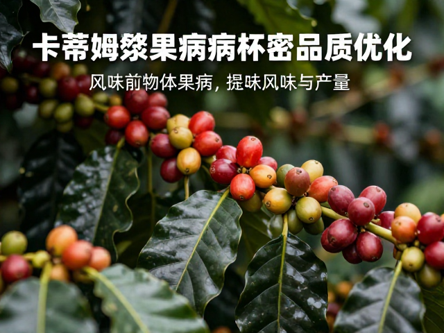 田间管理对风味前体物质的保留策略