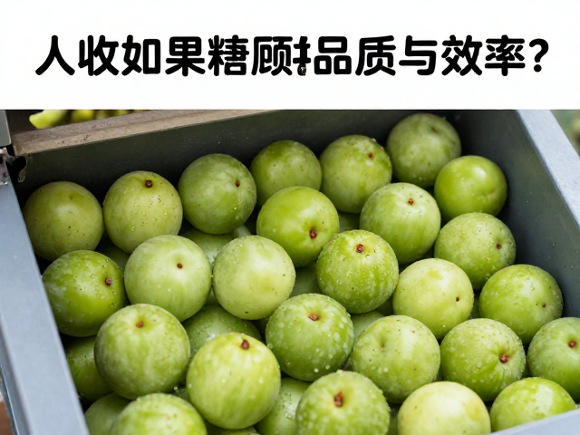 数据驱动的管理闭环构建