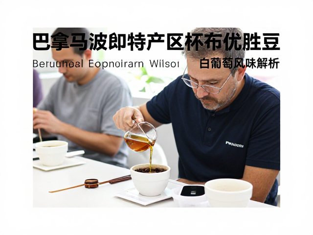 杯测流程中的风味呈现与品鉴逻辑