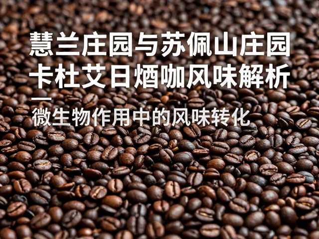 日晒处理工艺：微生物作用下的风味转化