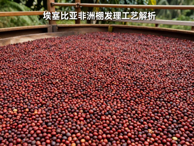 微生物活动与发酵过程的生化变化
