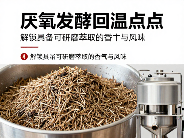 厌氧发酵回温点的工艺定义与物理机制