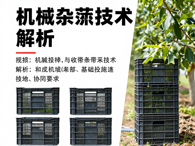 技术适配性与果园基础设施的协同要求