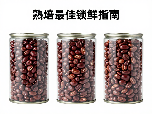 罐装保存对锁鲜效果的关键影响