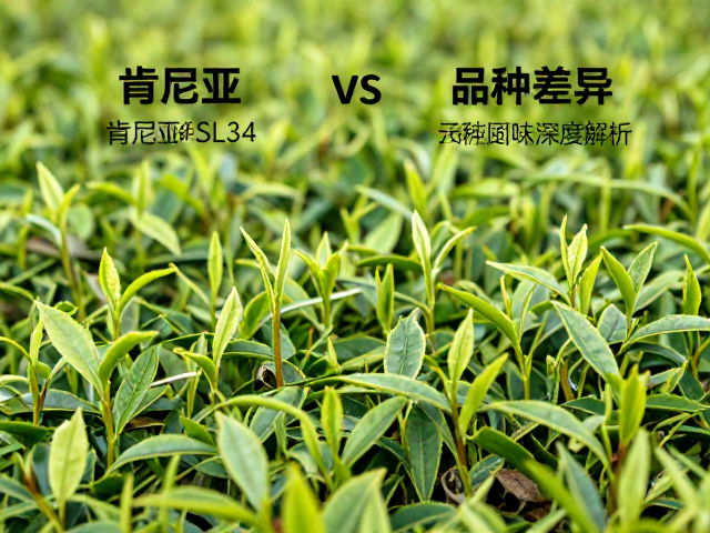 加工工艺对风味骨架的塑造
