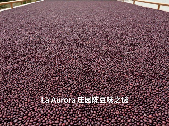 筛选环节对风味缺陷的控制机制