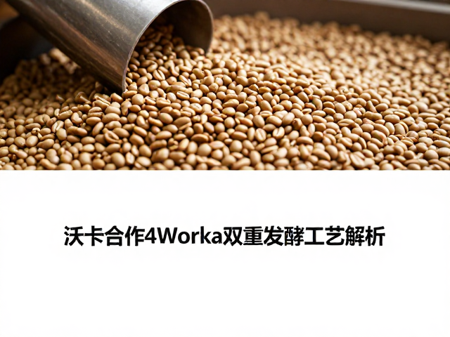 生豆物理特性与烘焙适配性