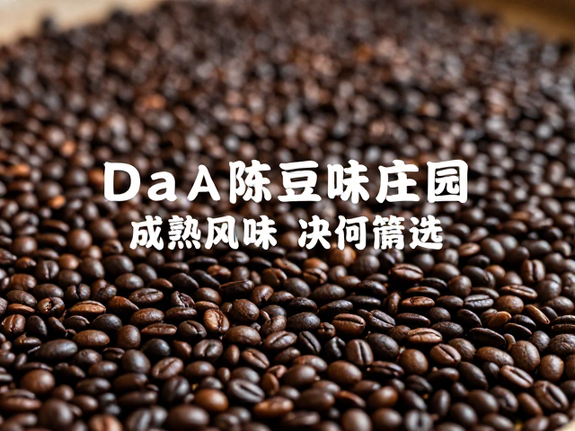 储存环境与陈豆风味的长期演变