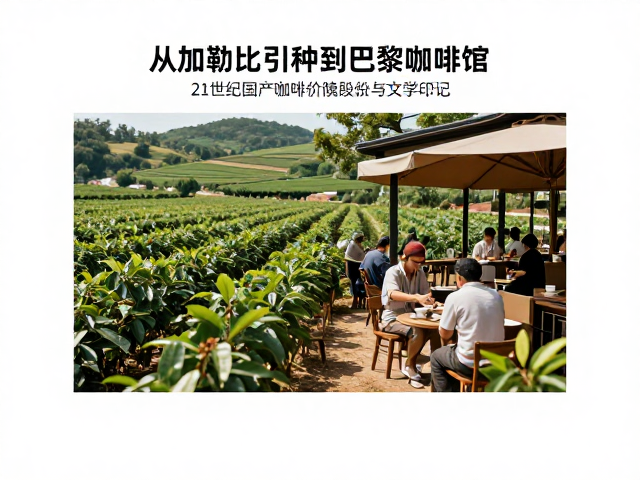 供应链深耕与风味多样性探索：从田间到杯中的技术叙事