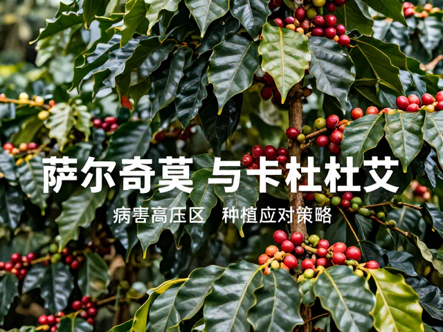 科学用药策略与环境安全考量
