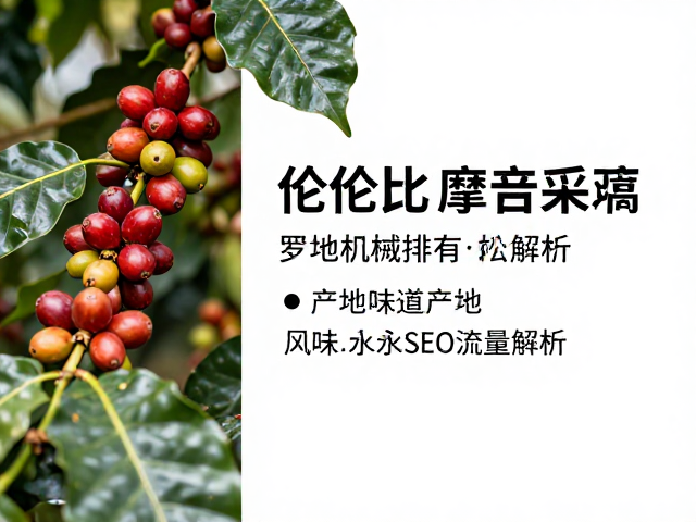 产地风味特征解析