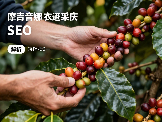 哥伦比亚摩吉安娜产区的风土特质