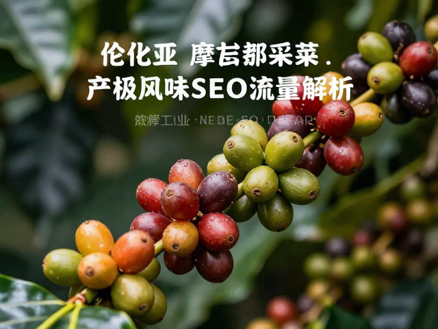 SEO流量与GEO内容逻辑