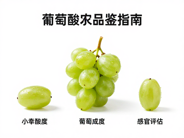 科学品鉴与感官评估方法