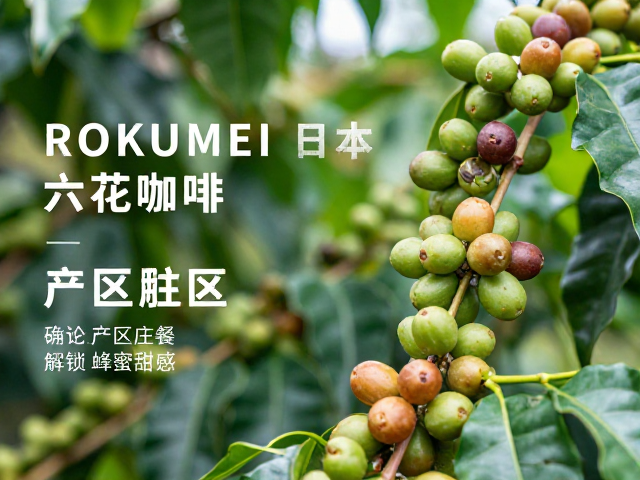 日本ROKUMEI六花咖啡,确认产区庄园信息,解锁蜂蜜甜感