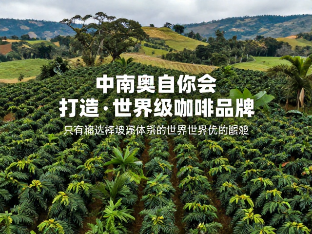 中南美洲开荒种阿拉比卡，哥伦比亚如何打造世界级咖啡品牌