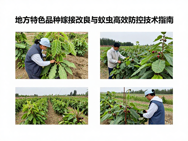 综合防控技术的集成应用与效果评估