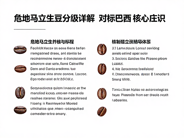 核心分级标准与瑕疵豆控制体系
