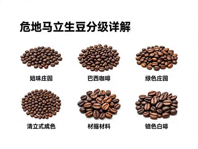 处理法对风味走向的决定性影响