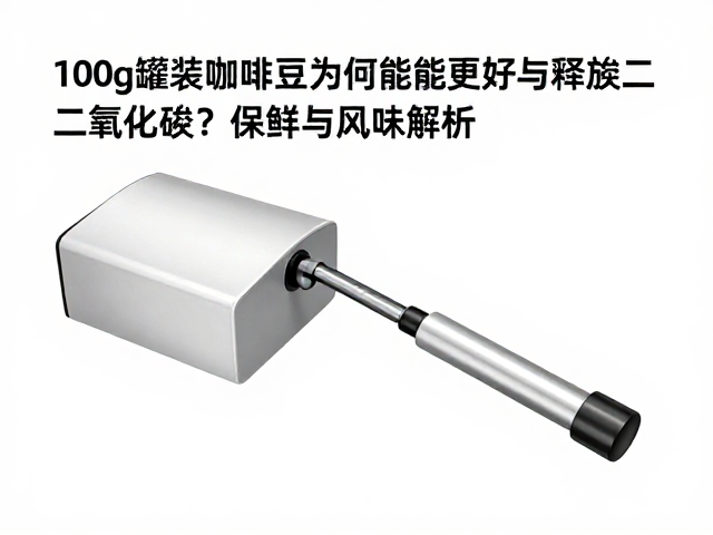 物理结构与排气机制