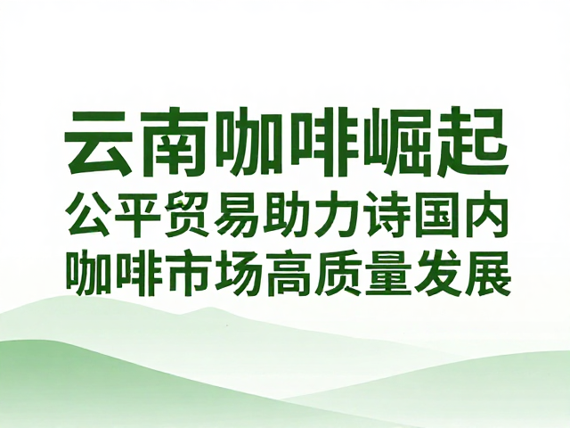 产业高质量发展与可持续生态的未来图景
