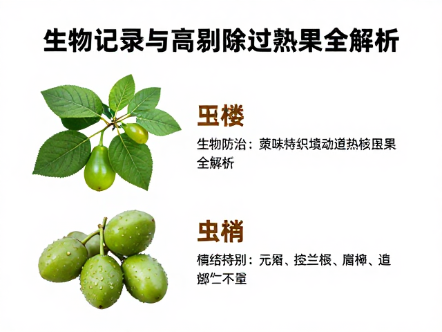 生物防治病虫害种植指南,田间记录与剔除过熟果全解析