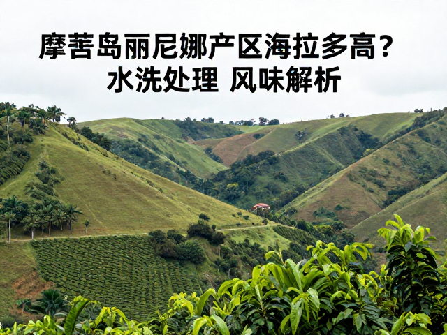 摩吉安娜产区的高海拔地理特征