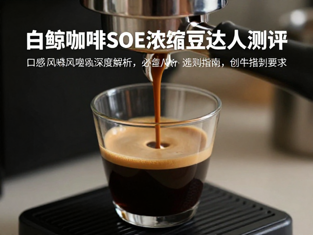 浓缩萃取中的感官体验与变量控制