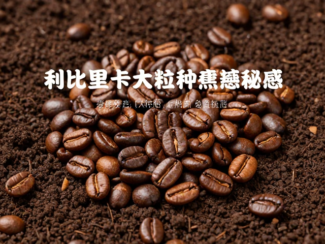 利比里卡大粒种咖啡,火山土壤孕育的焦糖甜感秘闻