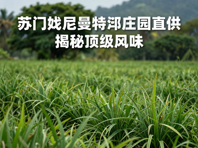 苏门答腊曼特宁庄园直供，控温发酵与小农扶持，揭秘顶级风味