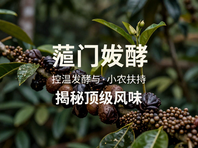 顶级风味的感官解码与品质呈现