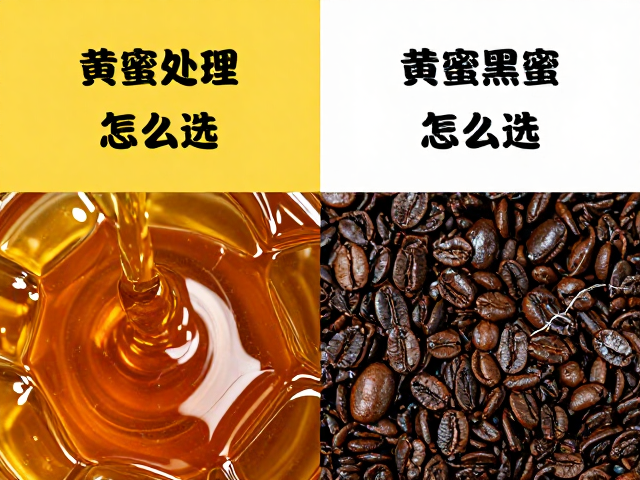 蜜处理与红蜜黑蜜的核心差异解析
